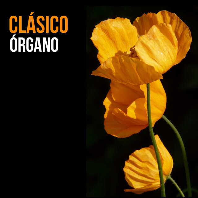 Órgano Clásico