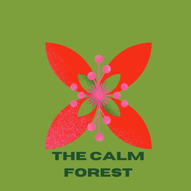 The calm forest