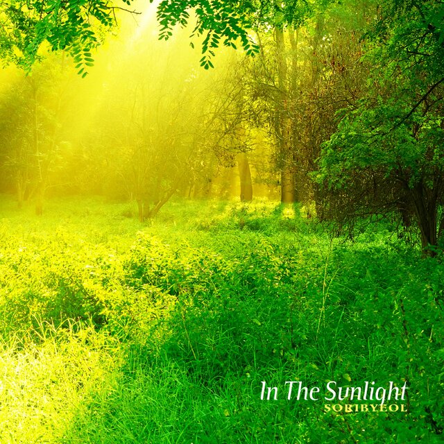 Lie in the sun