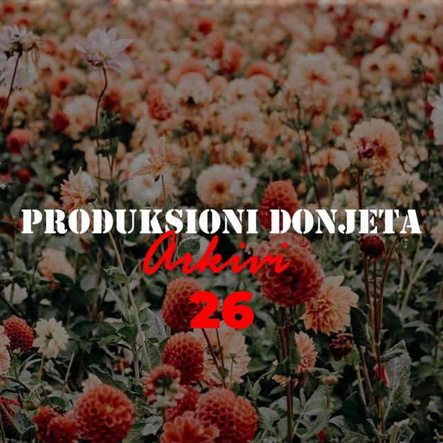 Arkivi 26 Produksioni Donjeta