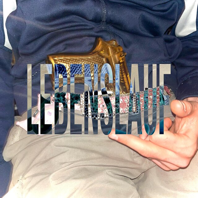 Lebenslauf