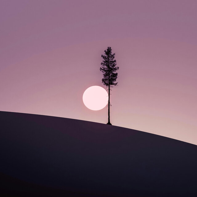 Searching For Remnants