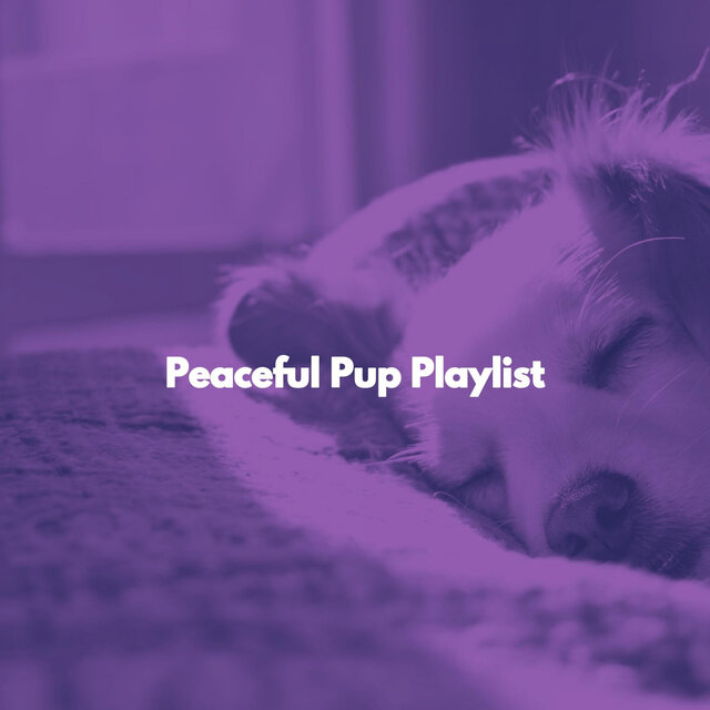 Peaceful Pup Playlist