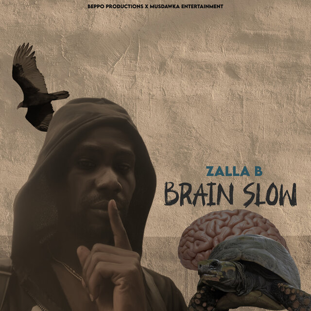 Brain Slow