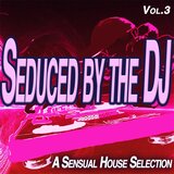 The End of Night (House Mix)