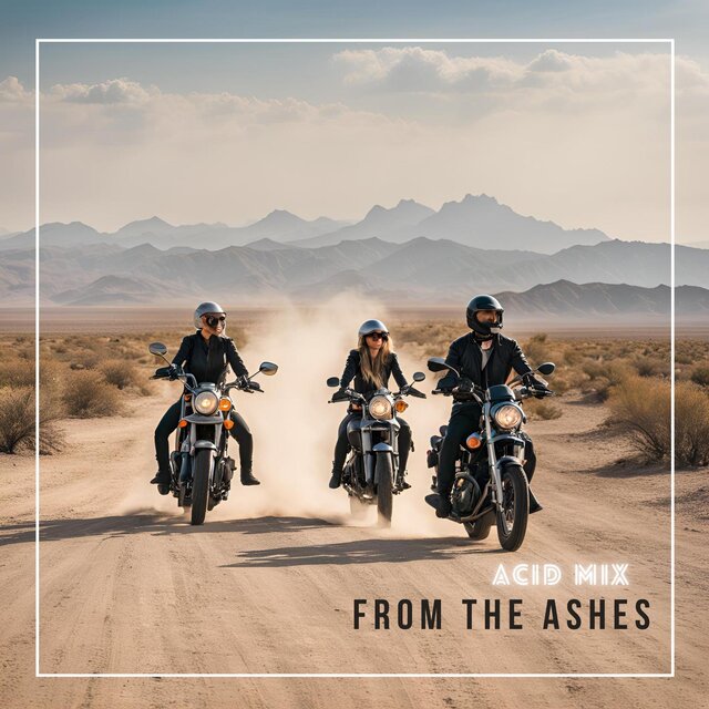From The Ashes (Acid Mix)
