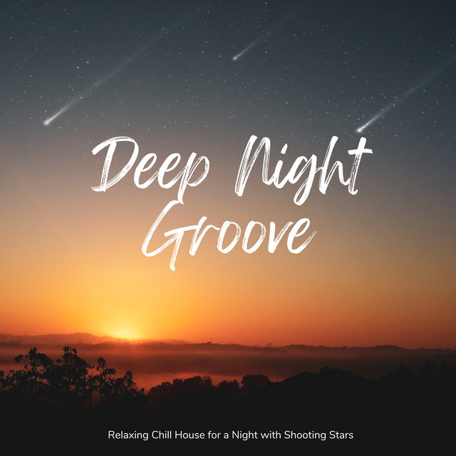 Deep Night Groove - Relaxing Chill House For a Night With Shooting Stars