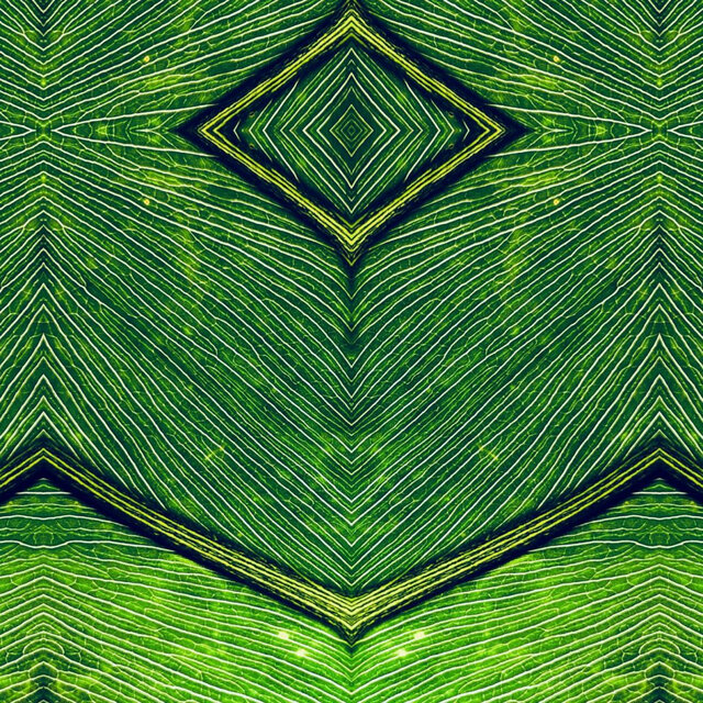 Plant Loop