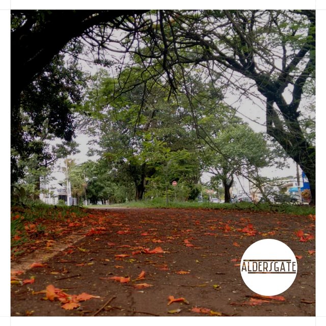 Avenida Dois