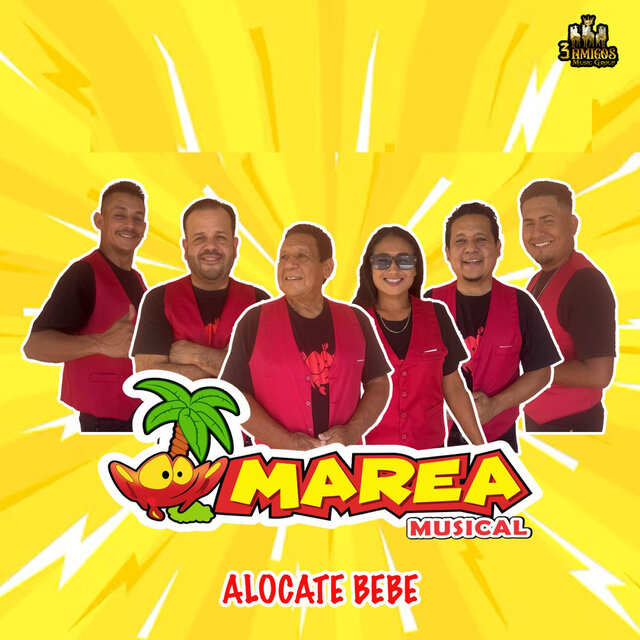 Alocate Bebe