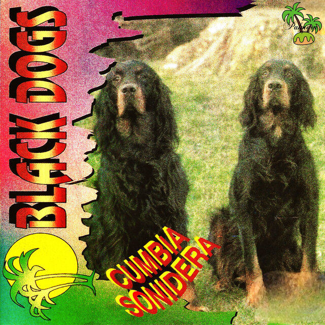 Cumbia Sonidera