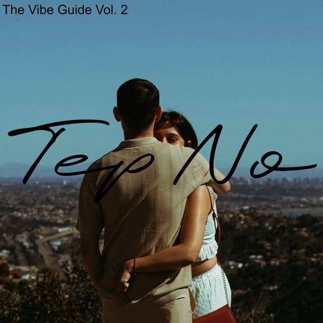 The Vibe Guide, Vol. 2