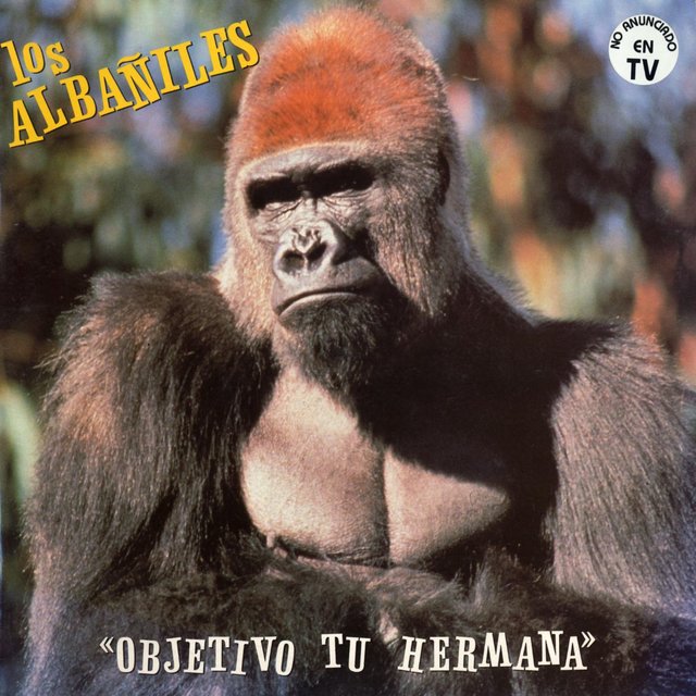 Objetivo tu hermana