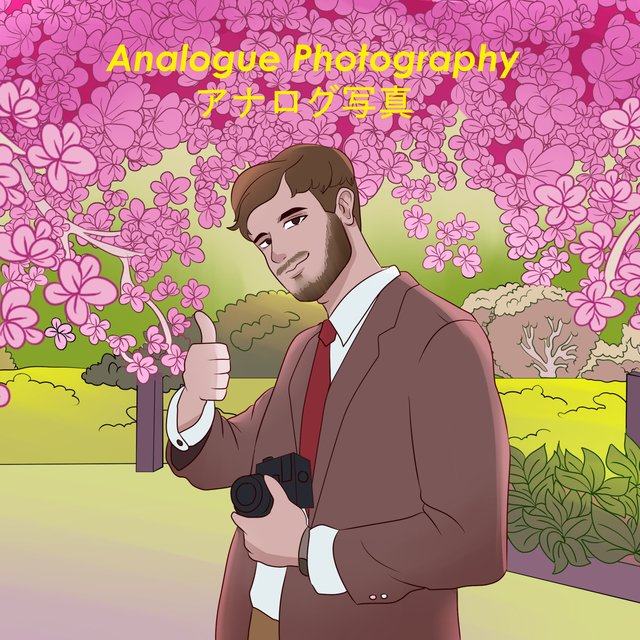 Analogue Photography // アナログ写真