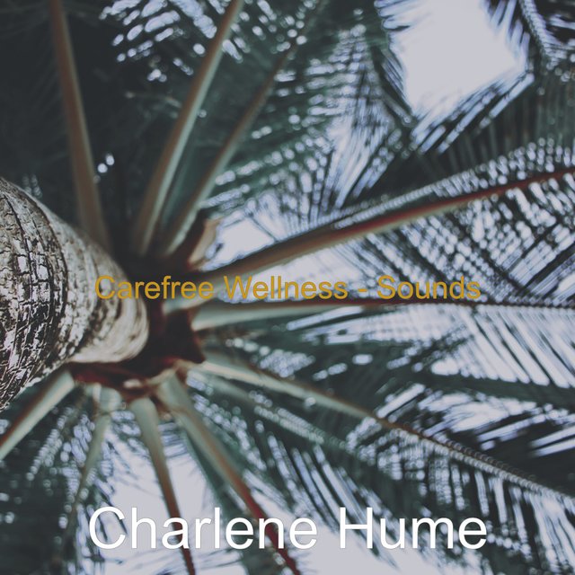 Carefree Wellness - Sounds