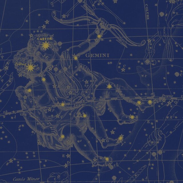 Castor and Pollux