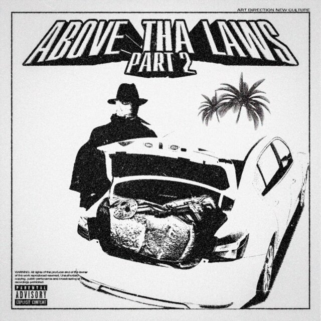 Above Tha Laws 2