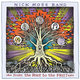 Cover art for album From the Root to the Fruit by Nick Moss Band