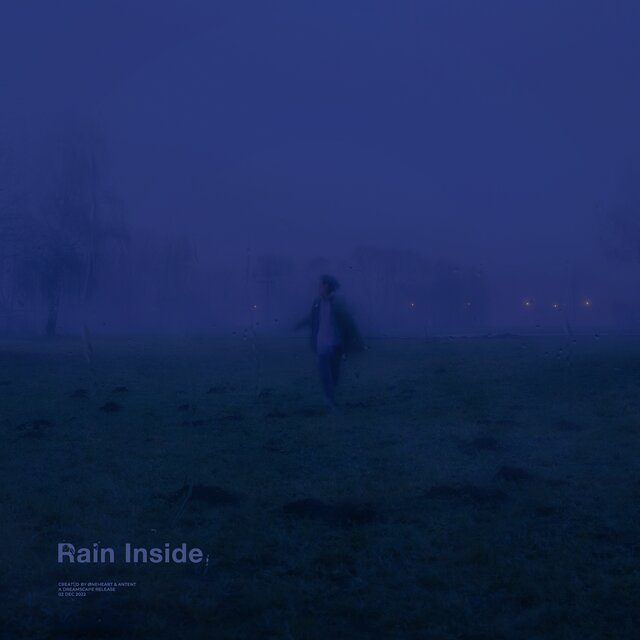rain inside (Remixes)