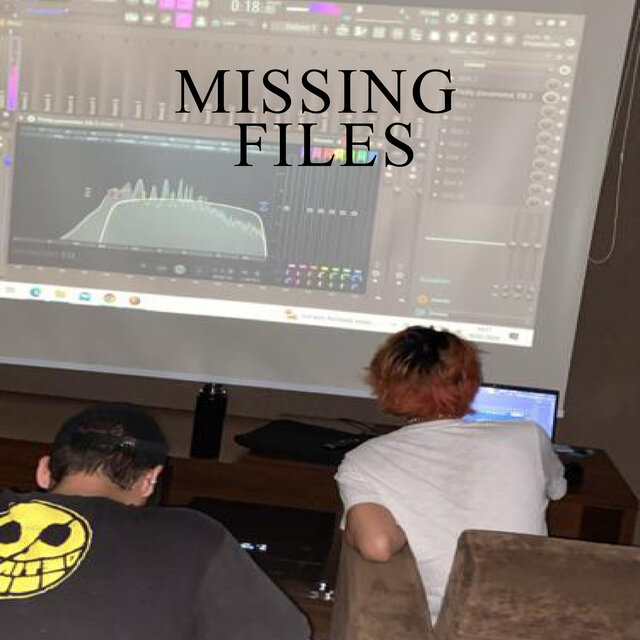 Missing Files