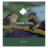 Расслабляющие звуки природы