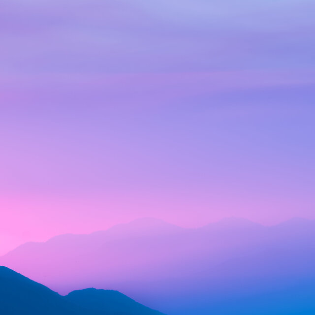 Pink Dawn