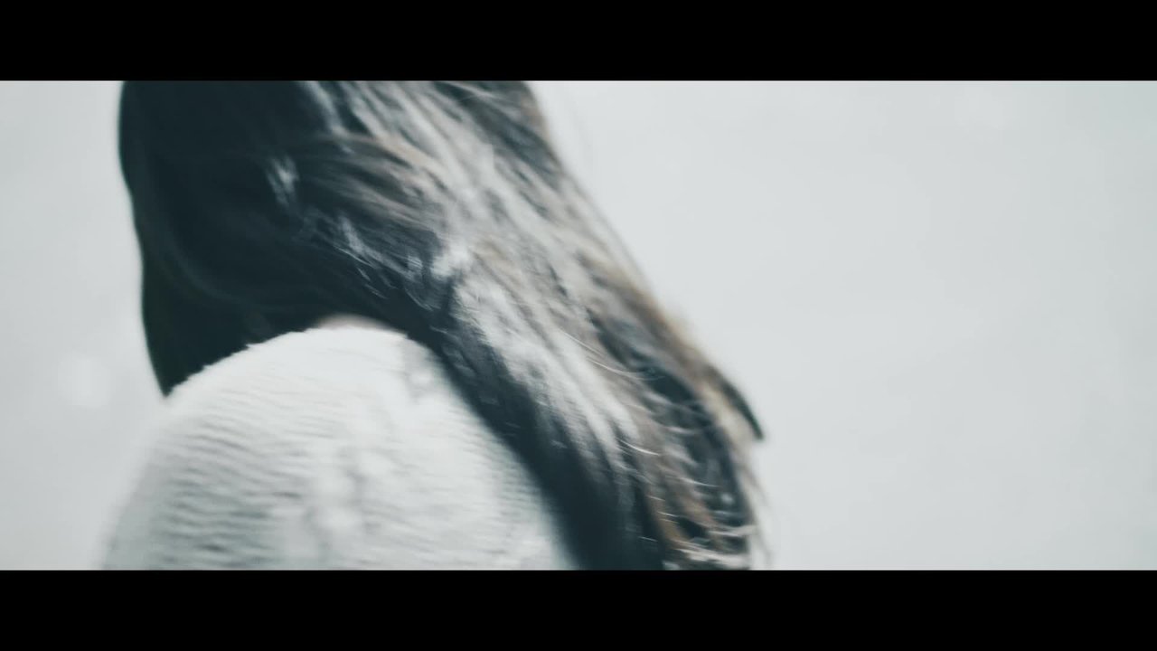 Back To The Sky