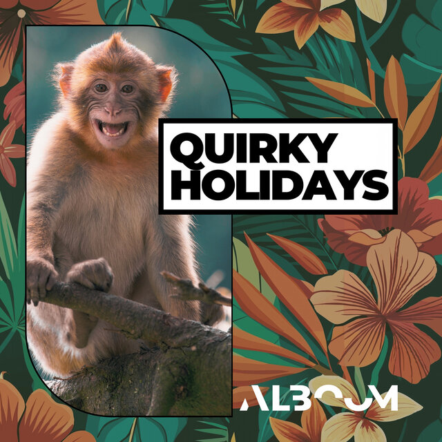 Quirky Holidays