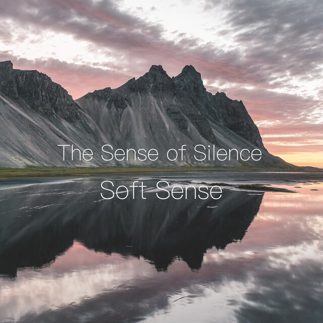 The Sense of Silence