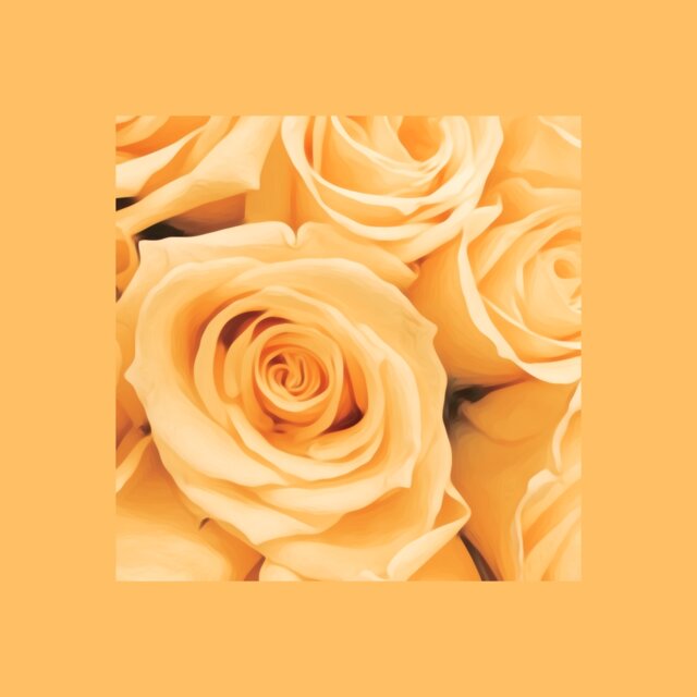 Cover art for album ~ Windrose ~ by User