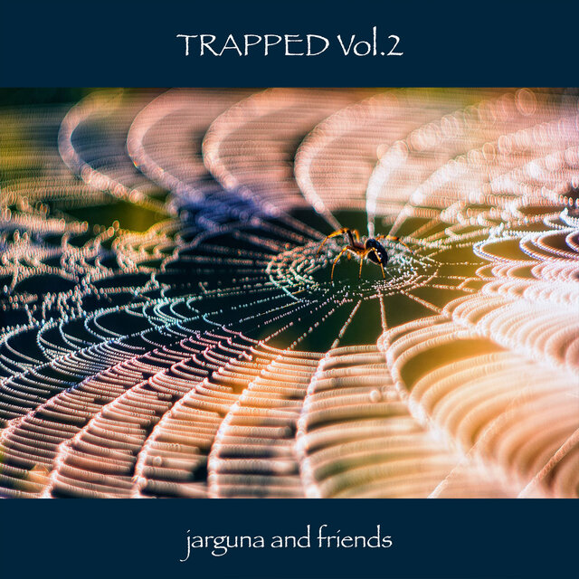 …and Friends: Trapped Vol.2