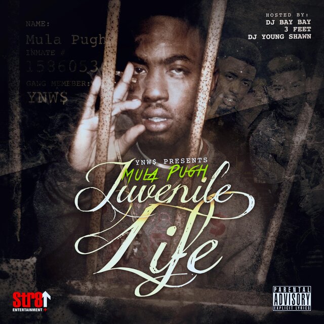 Juvenile Life