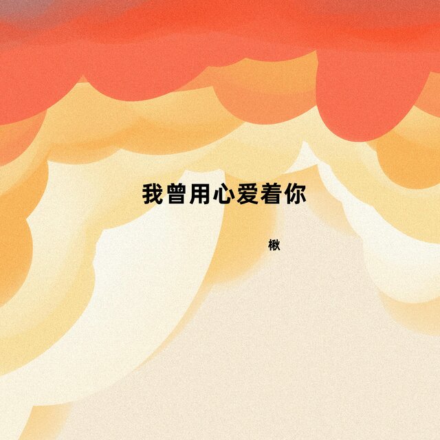 我曾用心爱着你