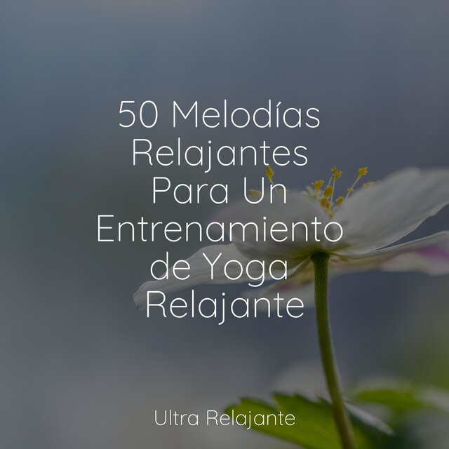 50 Melodías Relajantes Para Un Entrenamiento de Yoga Relajante