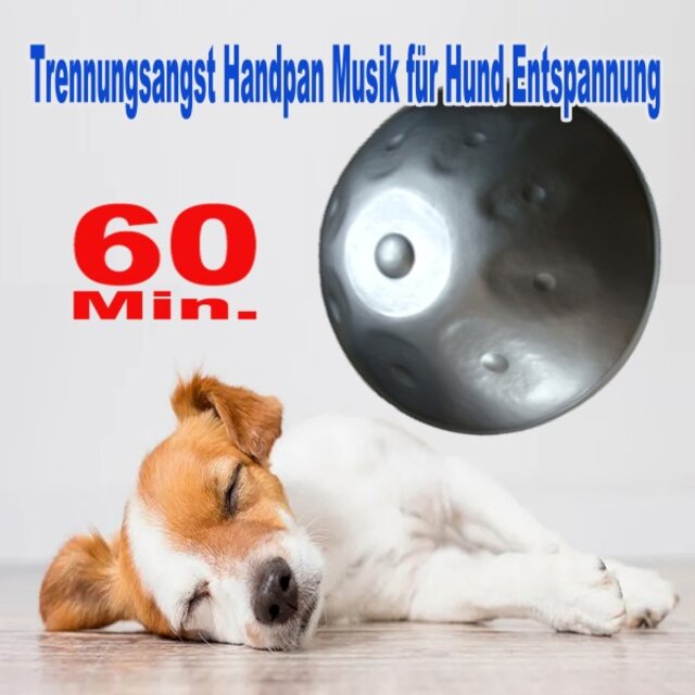 60 Minuten Trennungsangst Handpan Musik für Hund Entspannung (Loopable) [Beruhigende Hang Drum Musik für Hunde, Das Bewährte Akustische Beruhigsmittel für Ihren Hund - Angst, Stress & Unruhe]