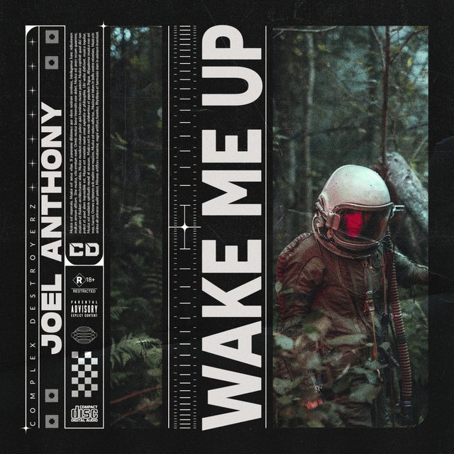 Wake Me Up