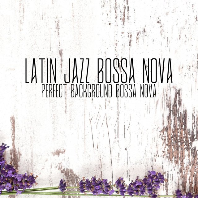 Perfect Background Bossa Nova