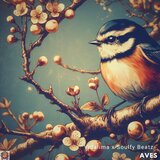Aves