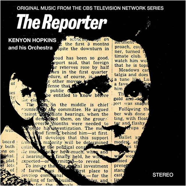 The Reporter (TV series)