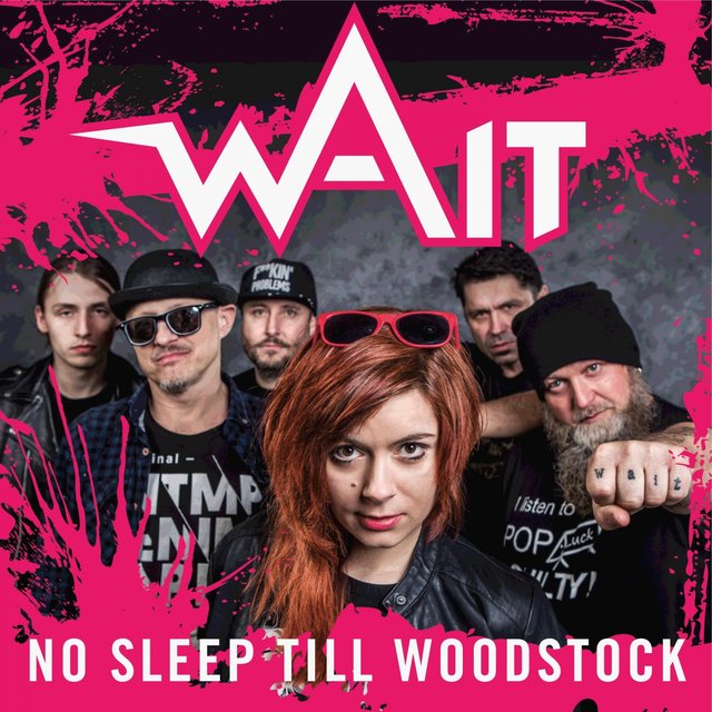 No Sleep Till Woodstock