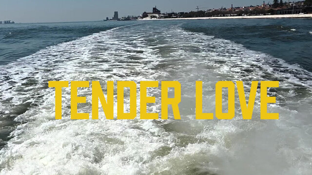 Tender Love 
