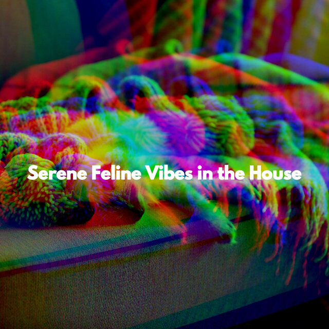 Serene Feline Vibes in the House