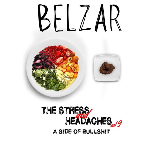 The Stress and Headaches Vol.2 A Side of Bullshit