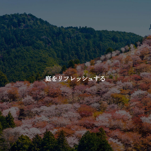 庭をリフレッシュする