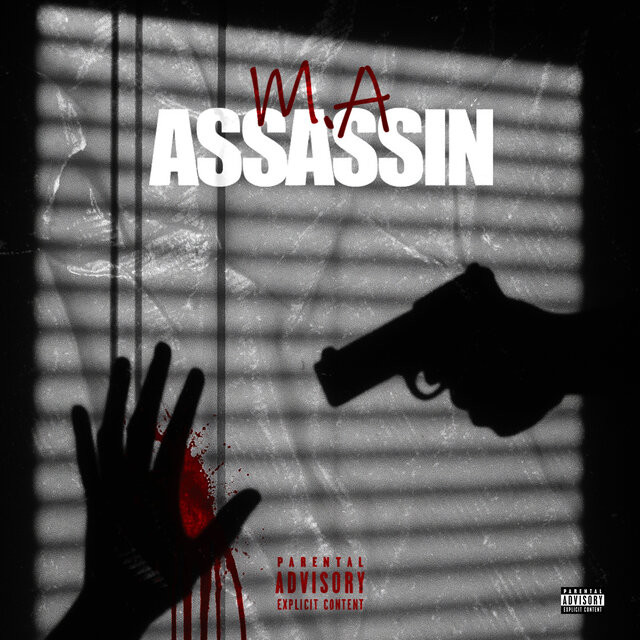 ASSASSIN