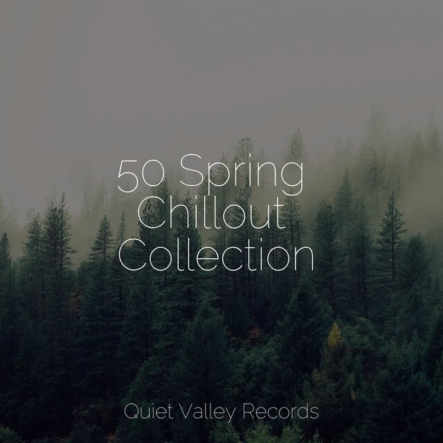 50 Spring Chillout Collection