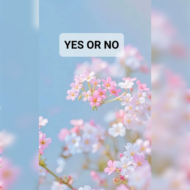 Yes Or No