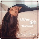 Wildest Dreams