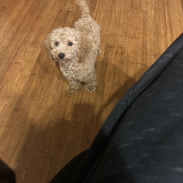 Where you going