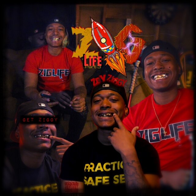 ZigLife 3